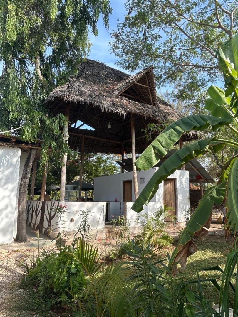 Zanzllywood Uroa Beach Apartments Dikoni Exteriér fotografie